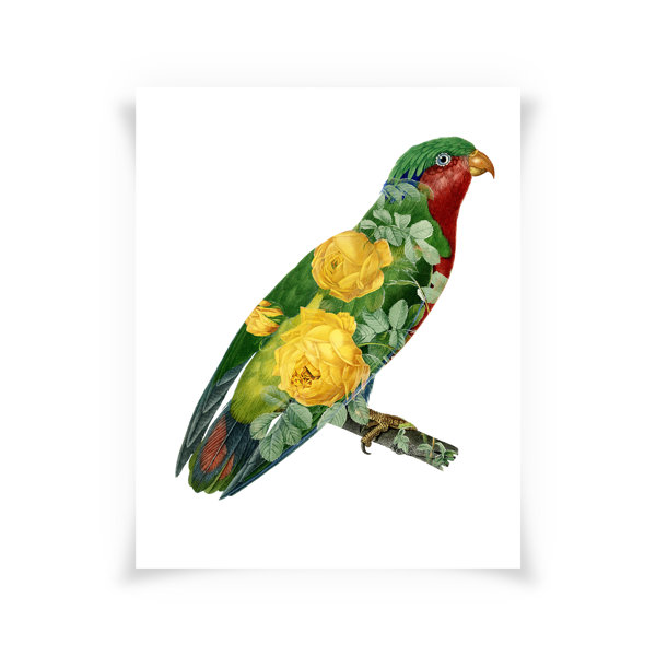 Nature Creative Nature Collage Wall Art Wayfair